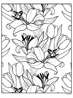 Lily and tulips are scattered across the page