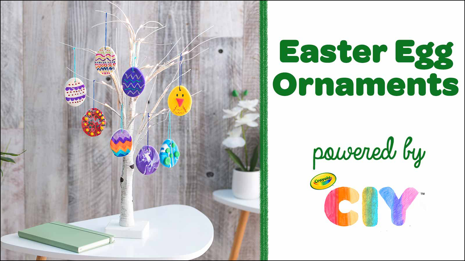 Easter Egg Ornaments CIY Video Poster Frame