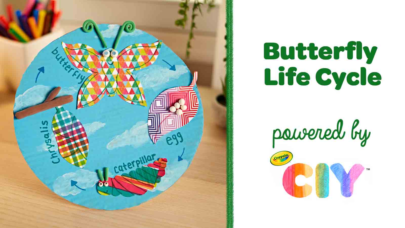 Butterfly Life Cycle for Kids, Craft
