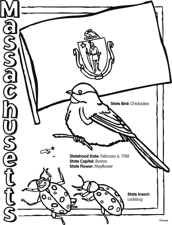 chickadee coloring pages