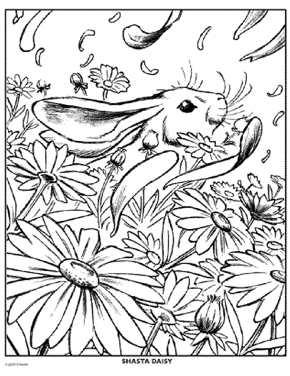 free printable coloring book pages of flowers