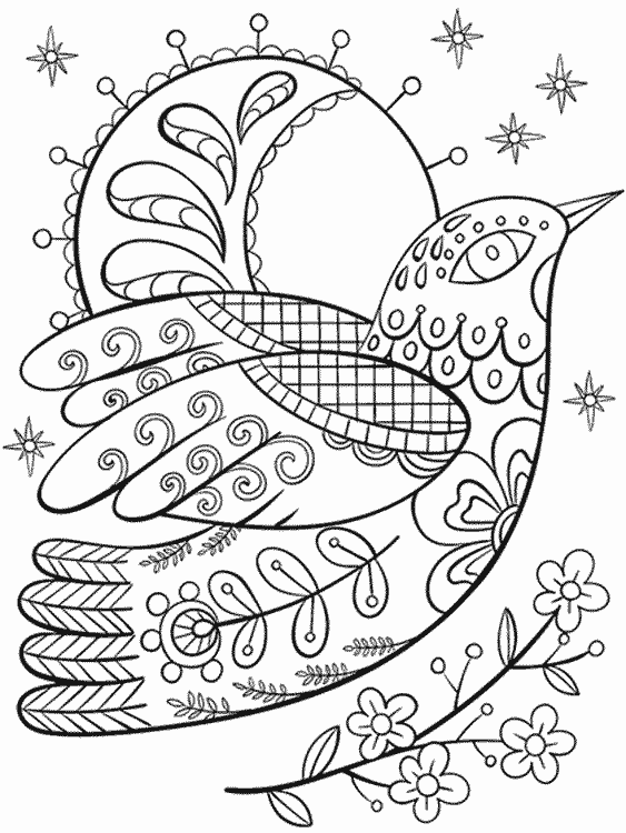 parakeet coloring pages to print
