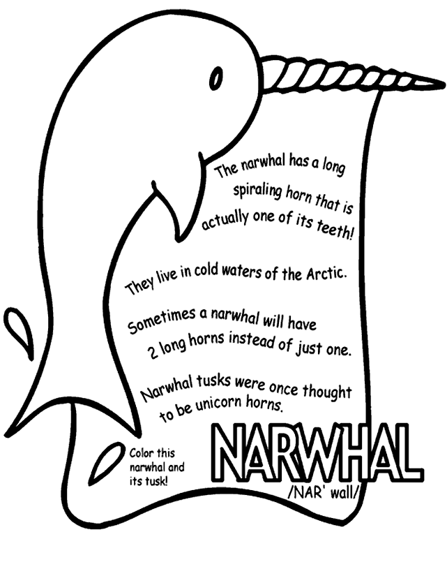 Narwhal Coloring Page Crayola Com