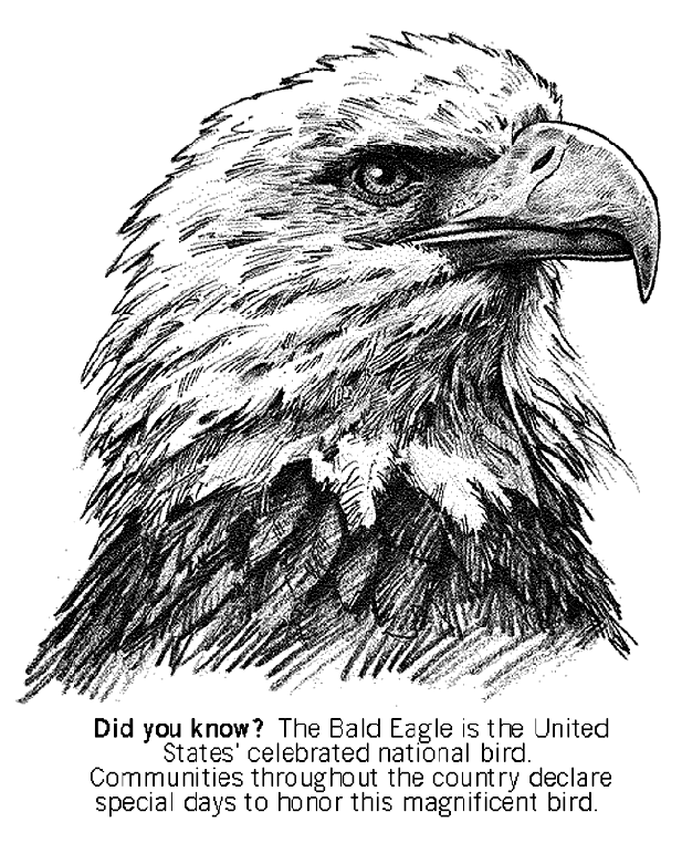 go-eagles-coloring-pages