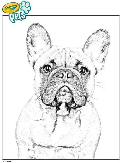 dog coloring pages that look real
