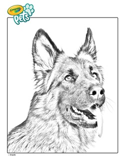 German Shepard Pet Dog Coloring Page