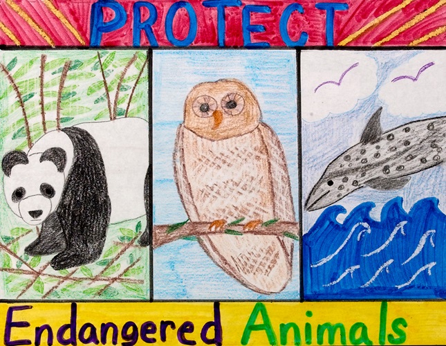 endangered species poster