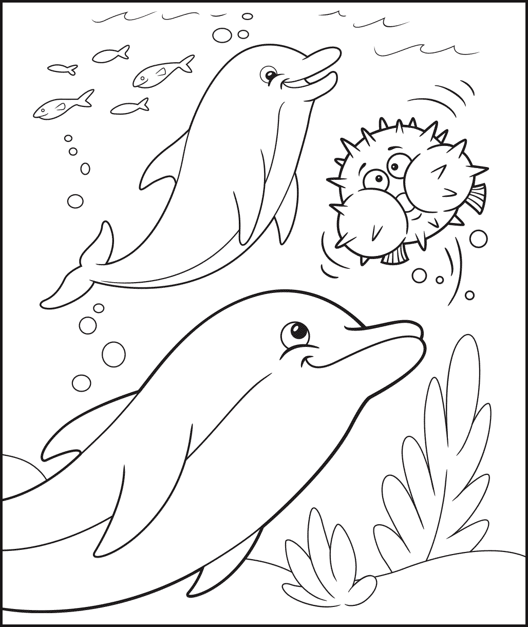 Dolphins