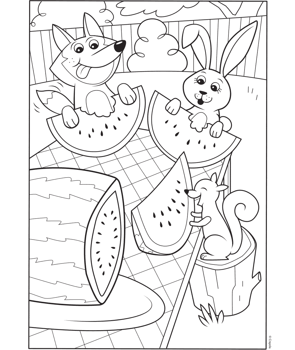 Watermelon Picnic