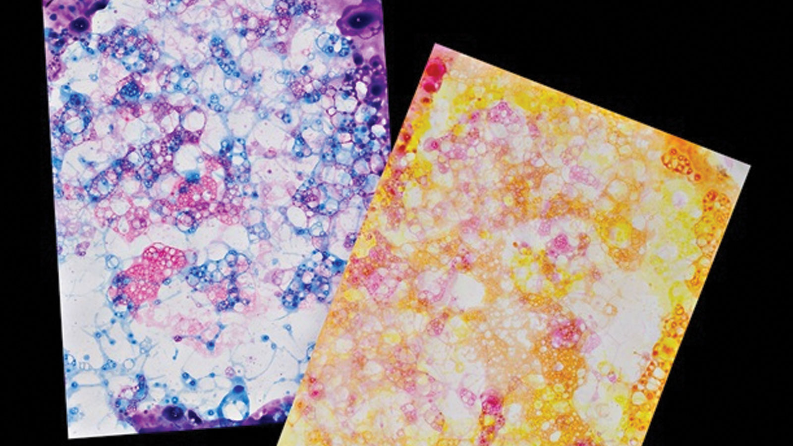 Bubble Prints