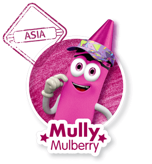 Mully Asia